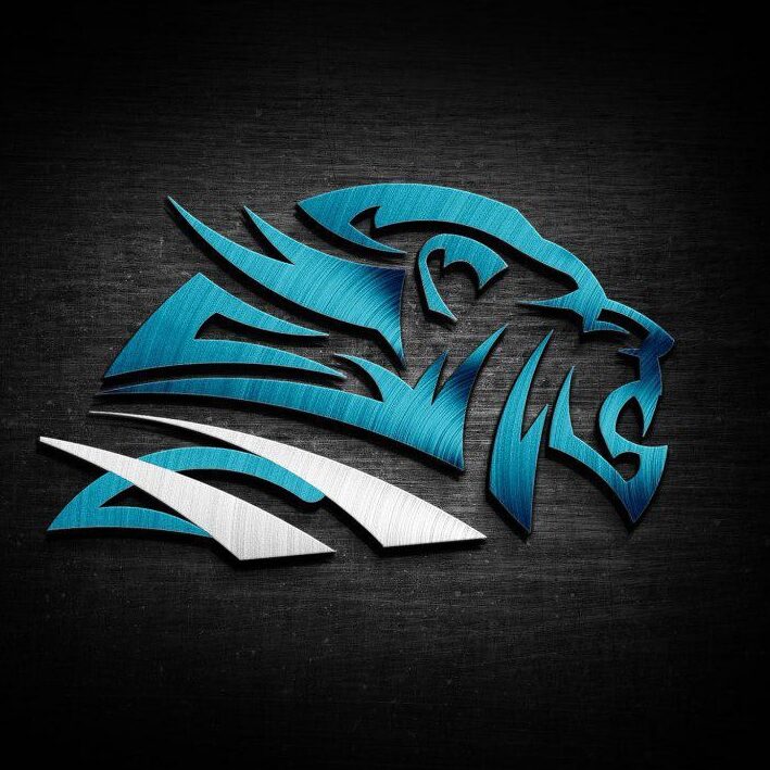 B Pro Gaming Alliance