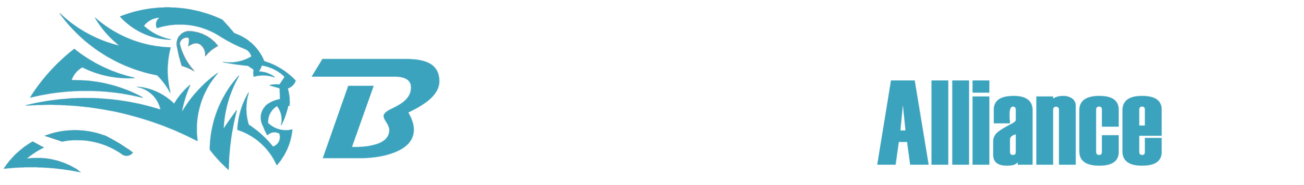 BProGaming